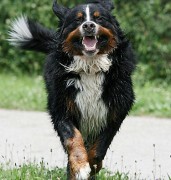 img3809web