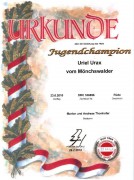 web-017164champ