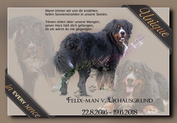 Regenbogen3