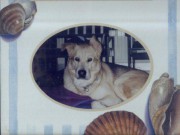 bild0012