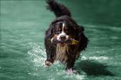 IMG7797a