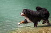 IMG7815a